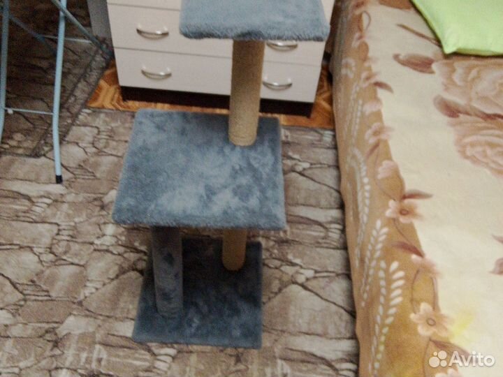 Когтеточка