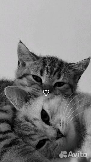 Игрушки пакетом