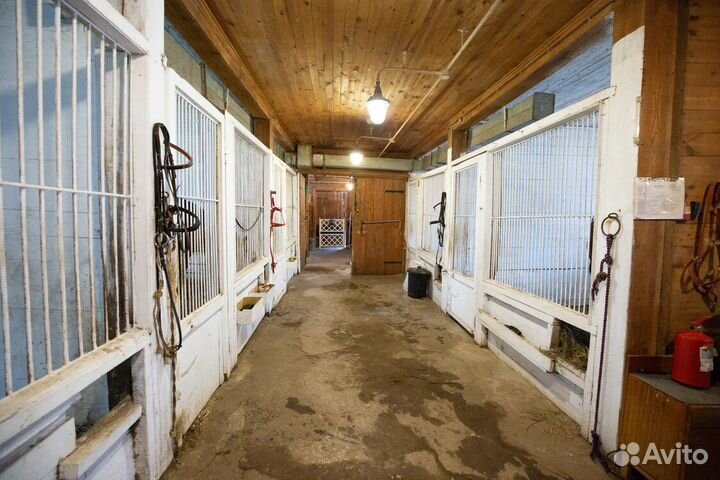 Постой лошадей под прокат