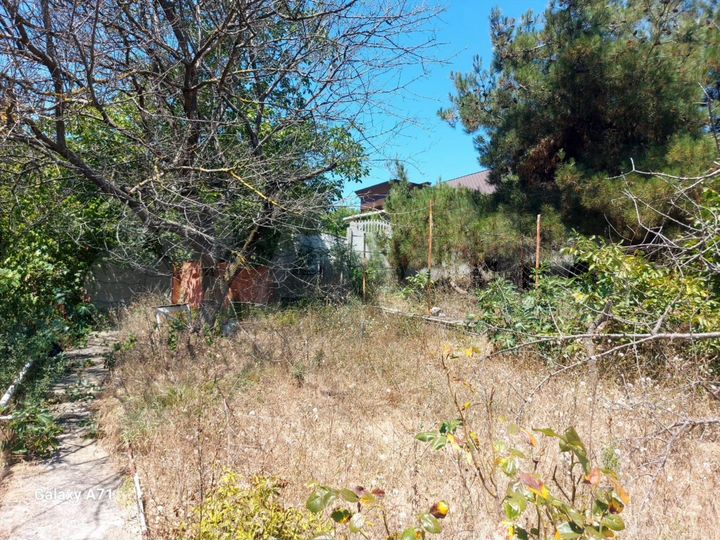 Участок 4 сот. (СНТ, ДНП)