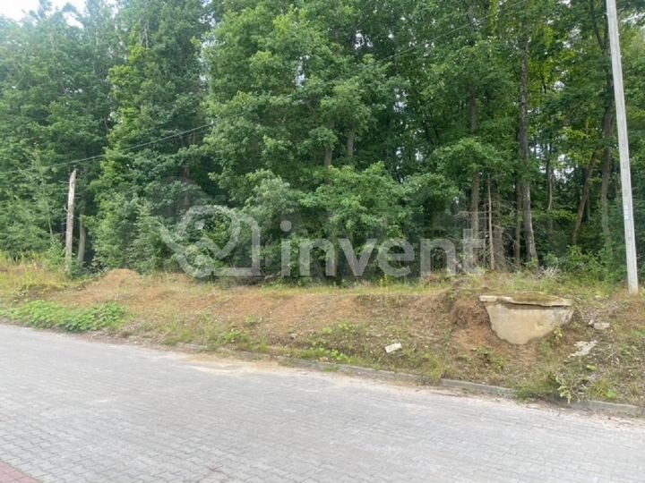 Участок 1,4 га (ИЖС)