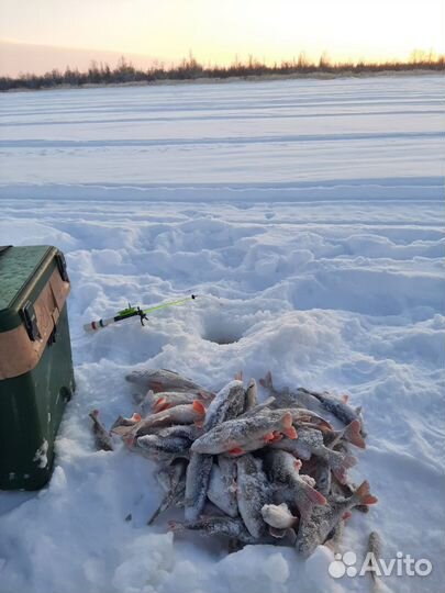 Рыбалка на Белом море / Архангельская область