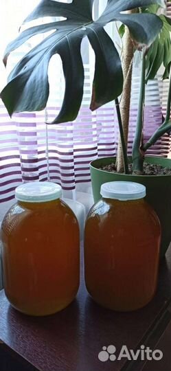 Мед Натуральный