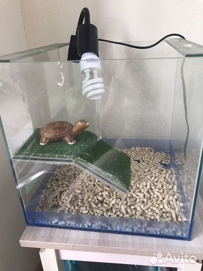 Набор для содержания сухопутной черепахи