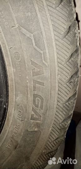 КАМА Alga (HK-531) 21/65 R14