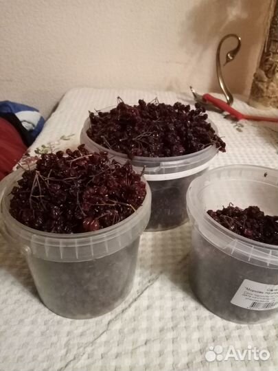 Сушеные калина, шиповник, чай