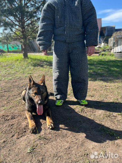 Костюм полной защиты дрессировщика