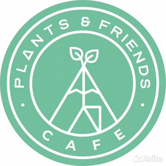 Бармен, бариста - официант