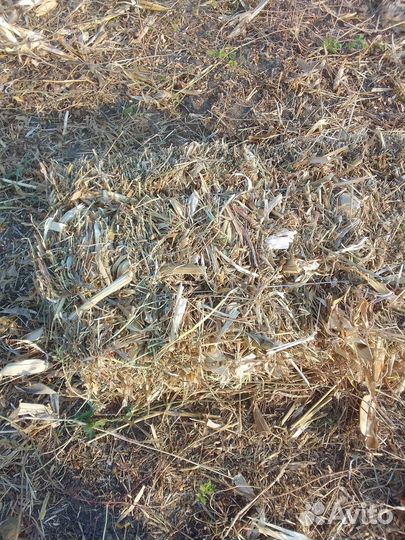 Сено луговое в тюках скукурузой