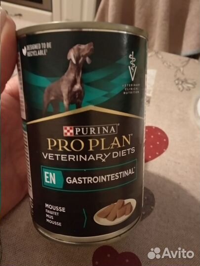 Корм для собак