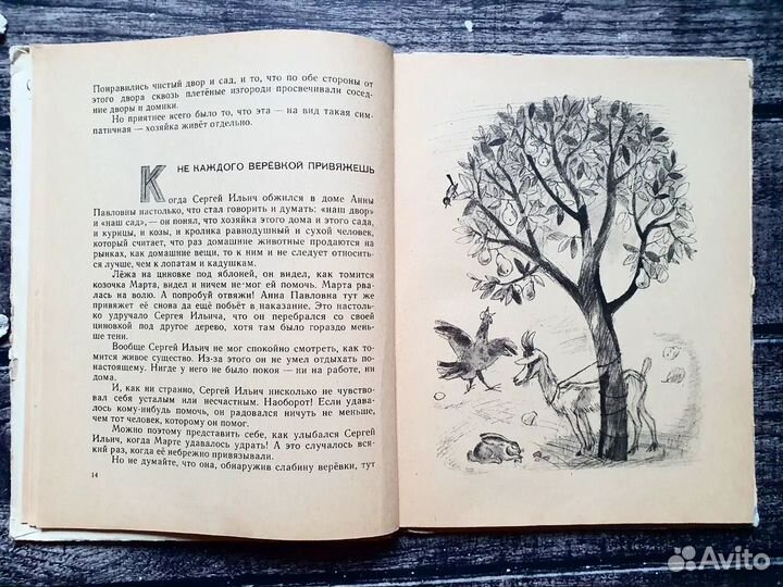 Достян. Кутя начинает бороться 1967 г