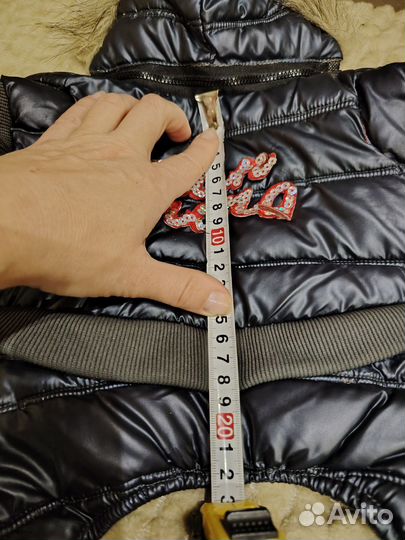 Комбинезон трансформер для собаки