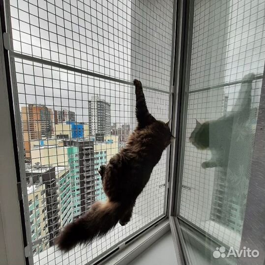 Оконная решетка съемная антикошка