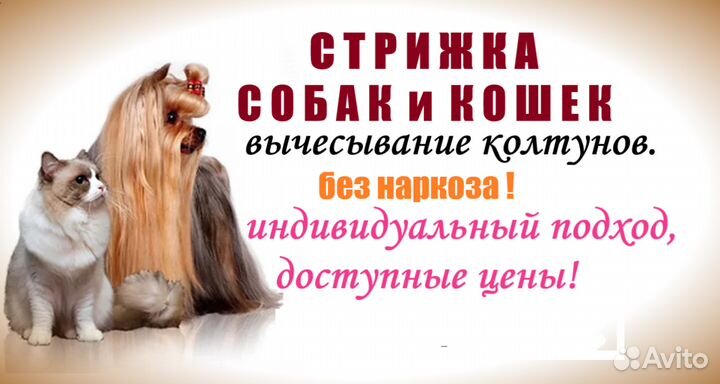 Стрижка домашних животных