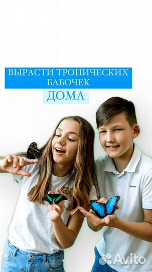Ферма для выращивания бабочек