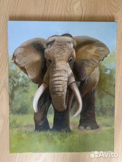 Картины животных