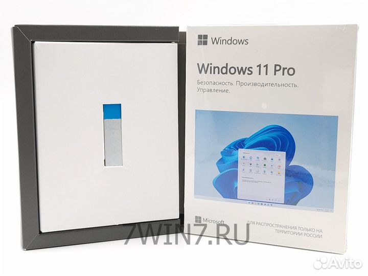 MS Windows 11 Professional BOX