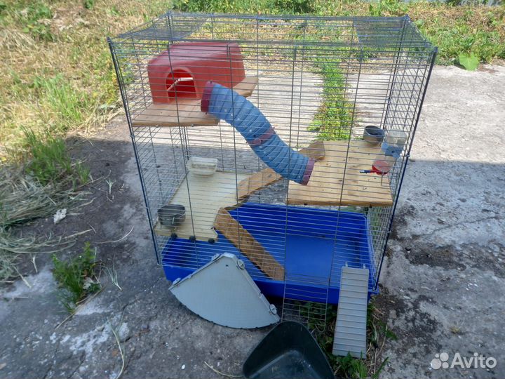 Клетка для грызунов бу