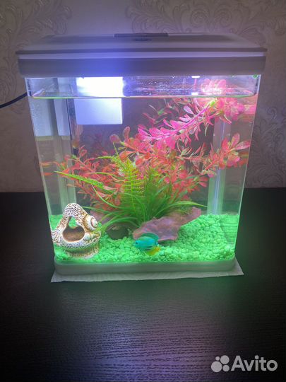 Аквариум