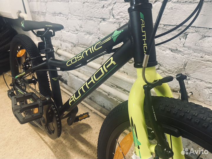 Author Cosmic 20 (2024)