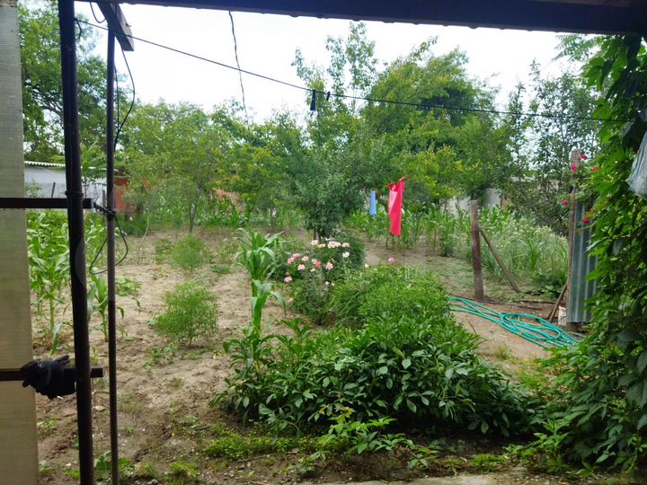 Участок 6 сот. (ИЖС)