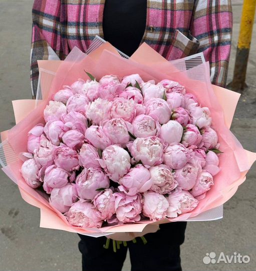 Пионы / Доставка цветов