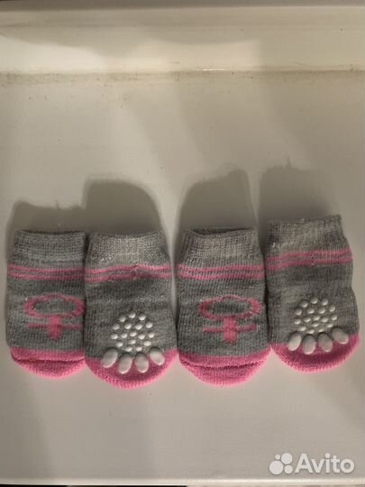 Вещи для животных