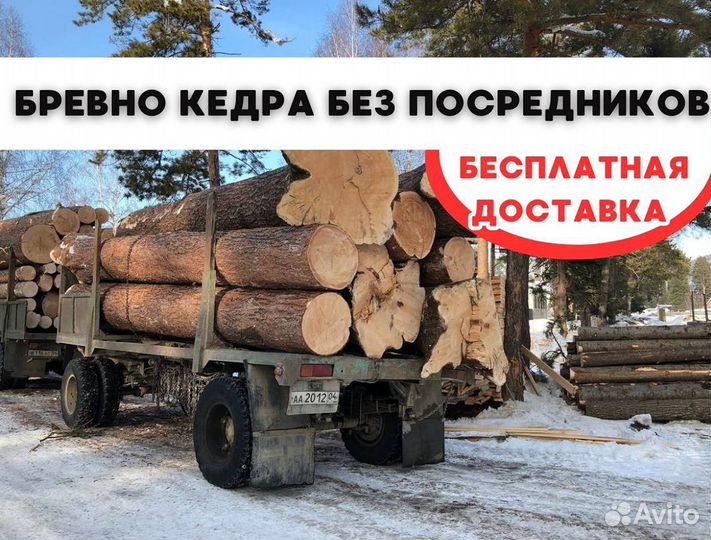 Бревна кедр