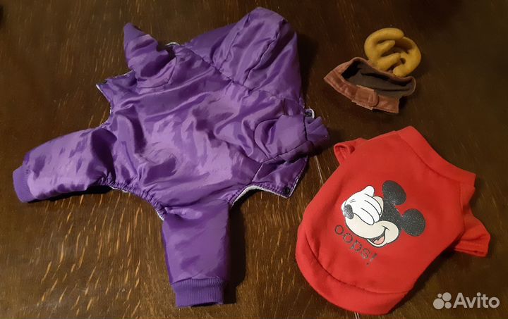 Одежда для собак