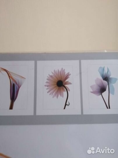 Набор из 3х постеров