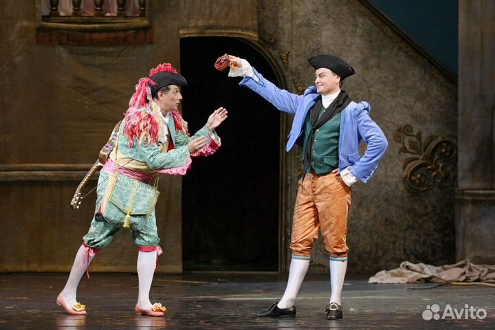 Билеты в большой театр Севильский Цирюльник