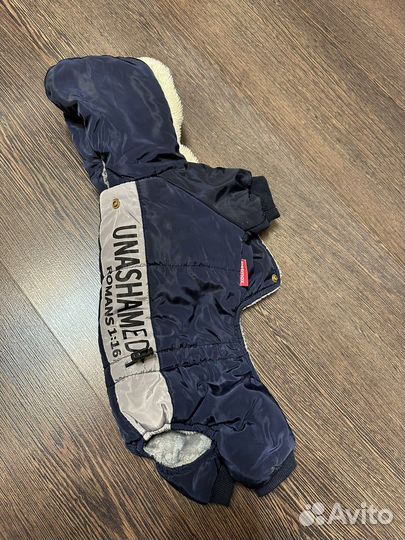 Одежда новая для собак мелких пород