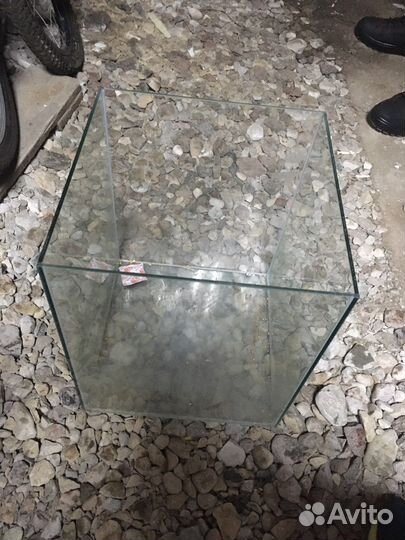 Аквариумные рыбки и растения