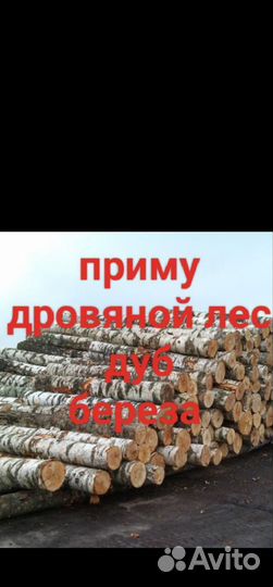 Лес кругляк пиловочник