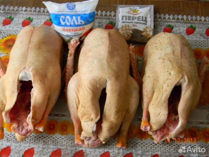 Мясо курица, индюшка, гусь, свинина