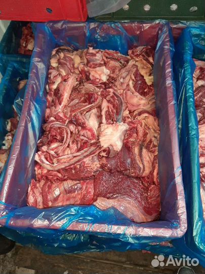 Мясо говядина 2 сорт