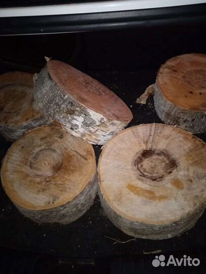 Спилберг берёзовый для декора.Подставка под ёлку