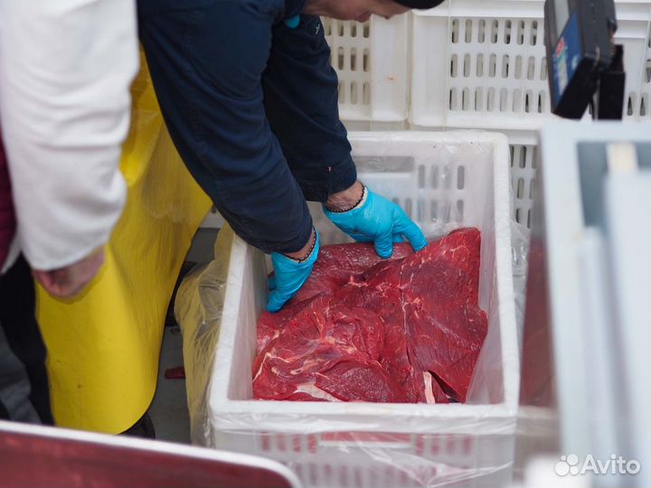 Прибыль 29'930 в месяц. Ищу займ в бизнес