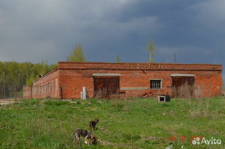 Ферма. Коровник, свинарник, крольчатник