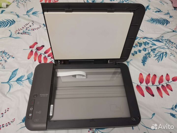 Принтер сканер мфу струйное цветная печать