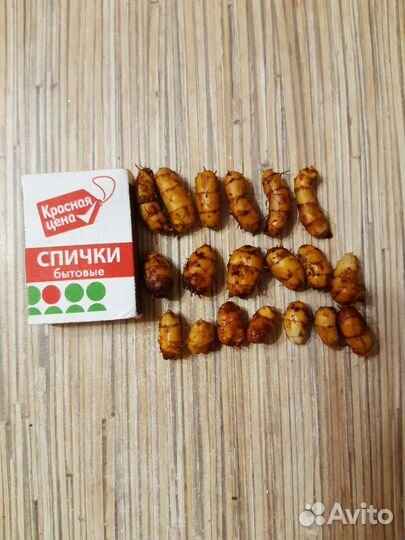 Чуфа (земляной миндаль)