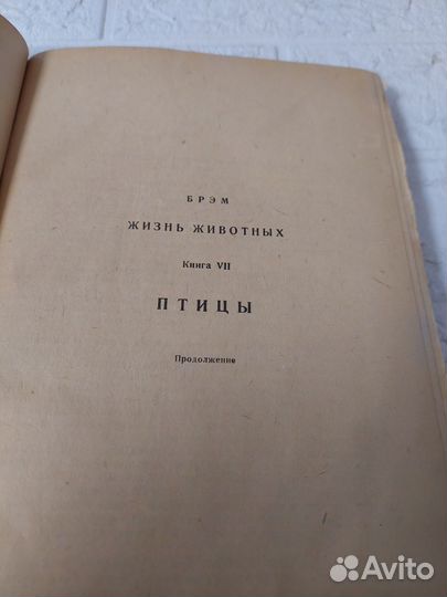 Брэм А. Жизнь животных. Книга 7. Птицы