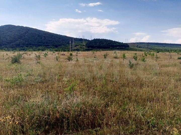 Участок 2 га (СНТ, ДНП)