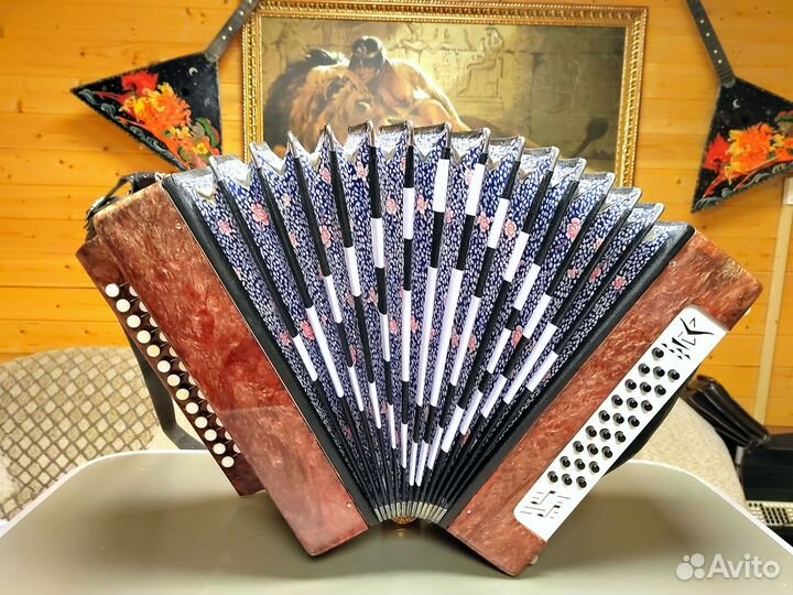 Шуйская гармонь чайка 2