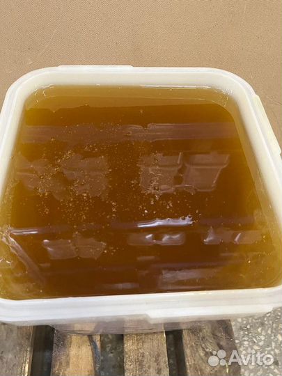 Только оптом мед Разнотравье свежее