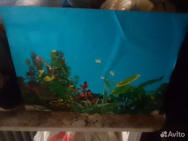 Аквариум