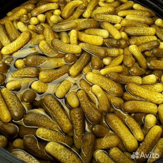 Огурцы соленые бочковые