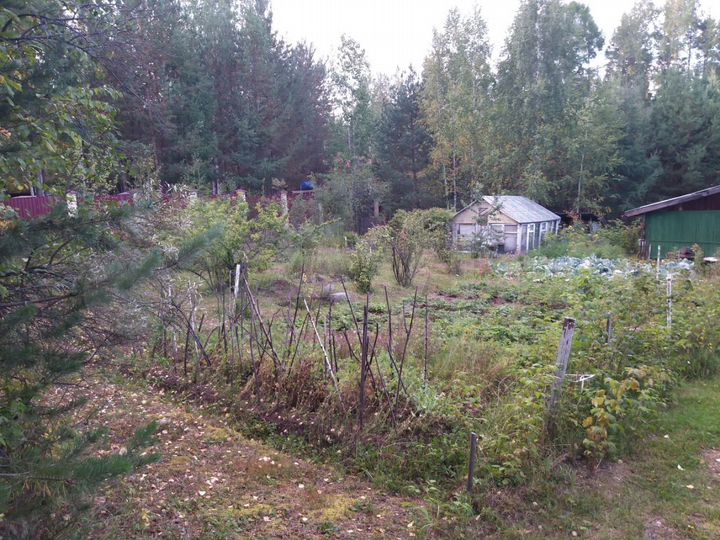 Дача 30 м² на участке 15 сот.