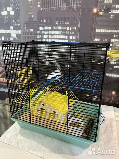 Джунгарский хомяк с клеткой бесплатно бронь