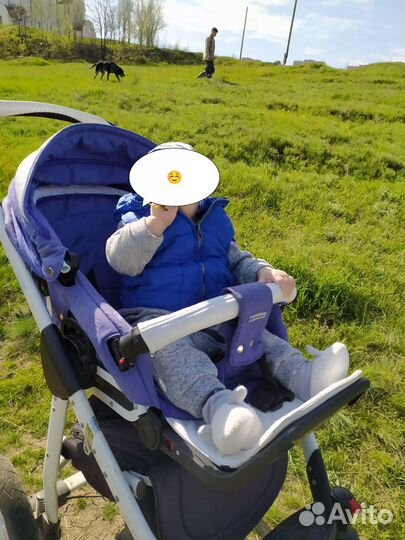 Коляска adamex jetto 2 в 1